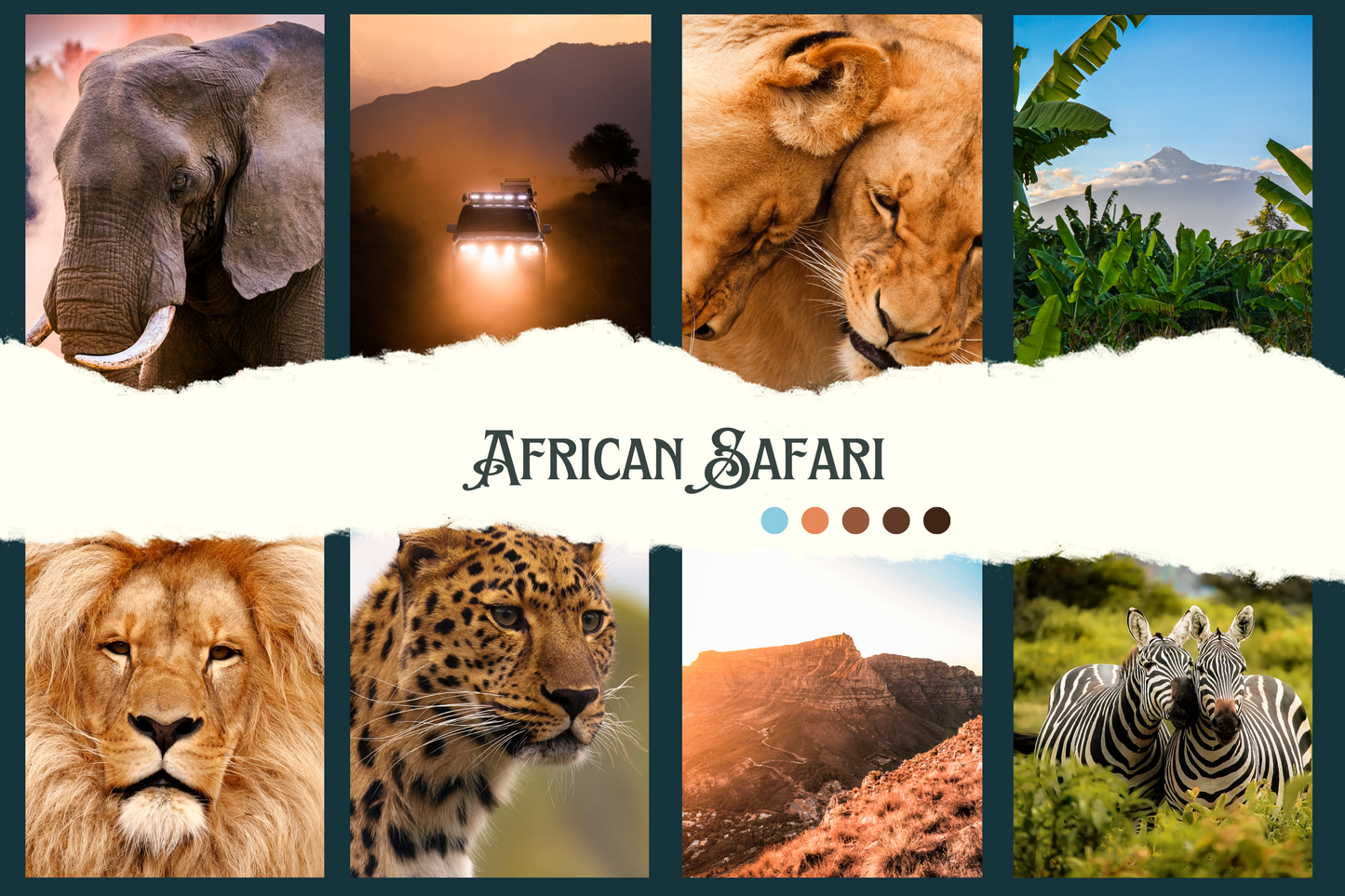 10 African Safari Lightroom Presets for Mobile & Desktop