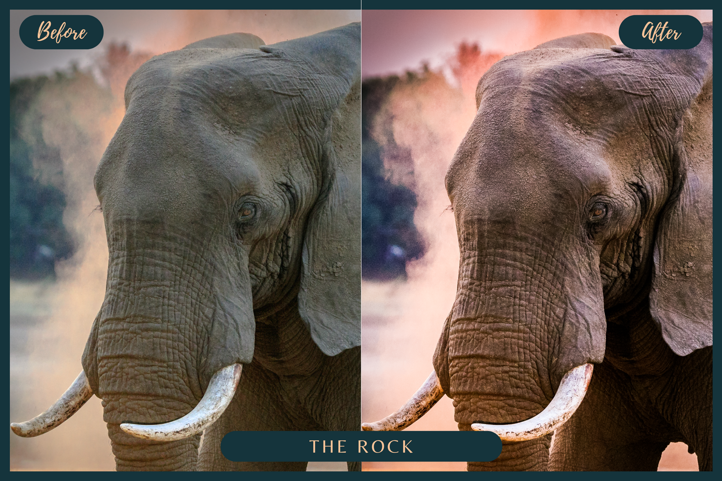 10 African Safari Lightroom Presets for Mobile & Desktop