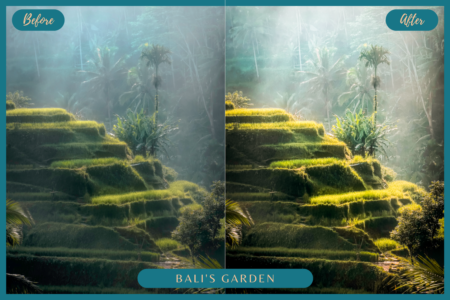 10 Bali Lightroom Presets for Mobile & Desktop