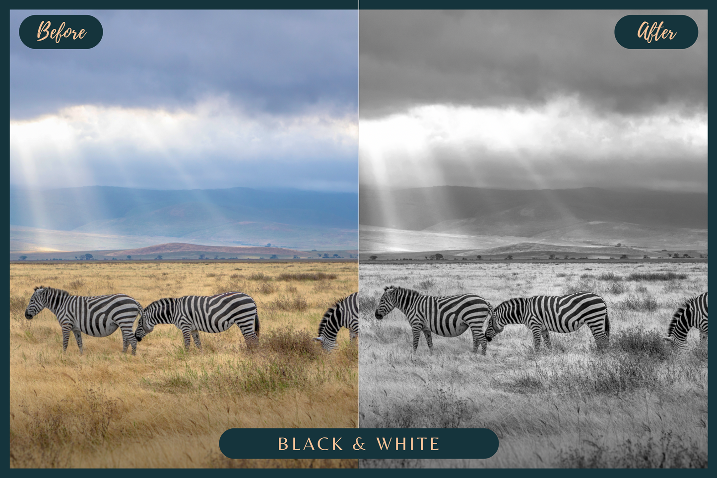 10 African Safari Lightroom Presets for Mobile & Desktop