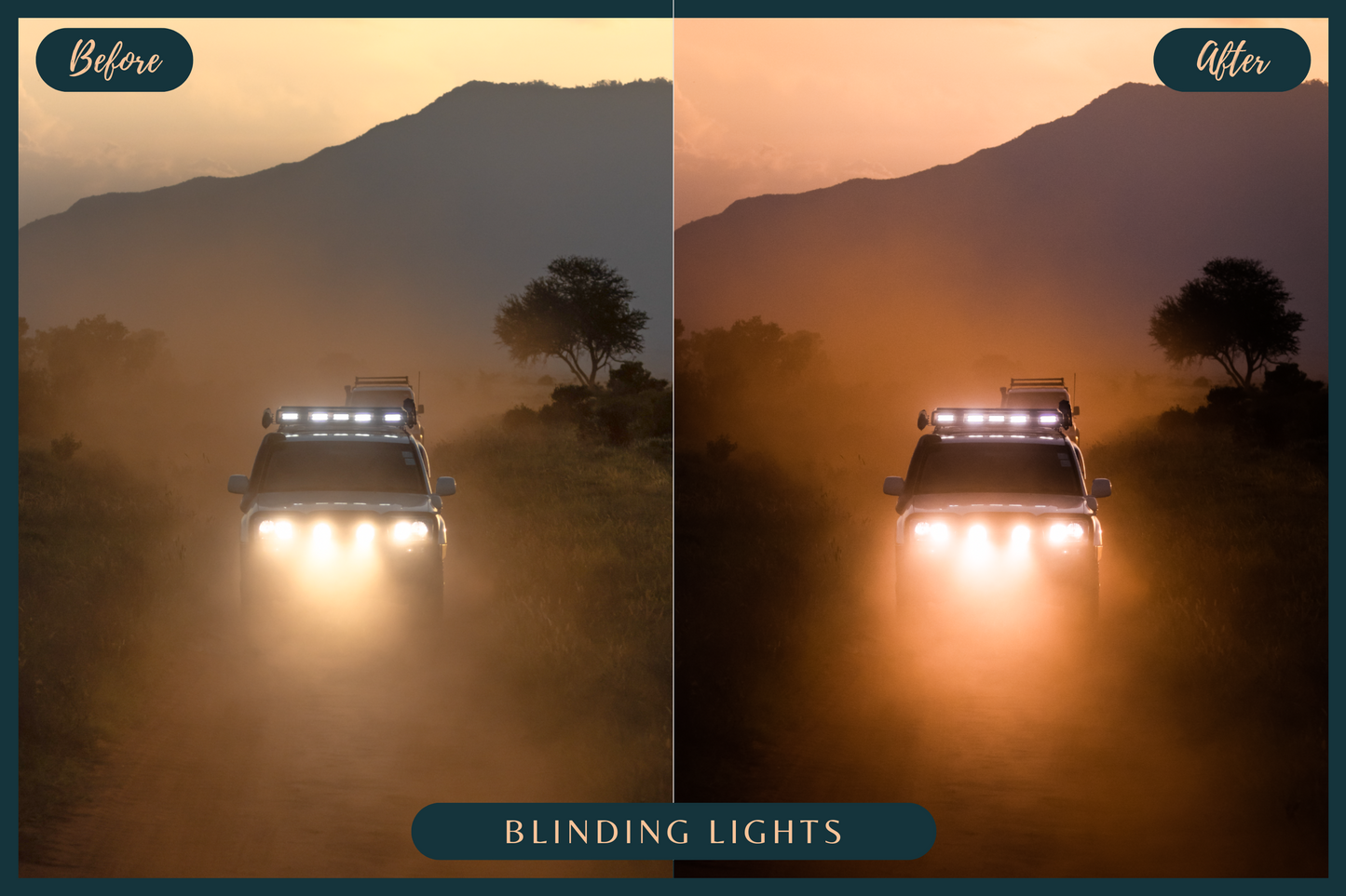 10 African Safari Lightroom Presets for Mobile & Desktop