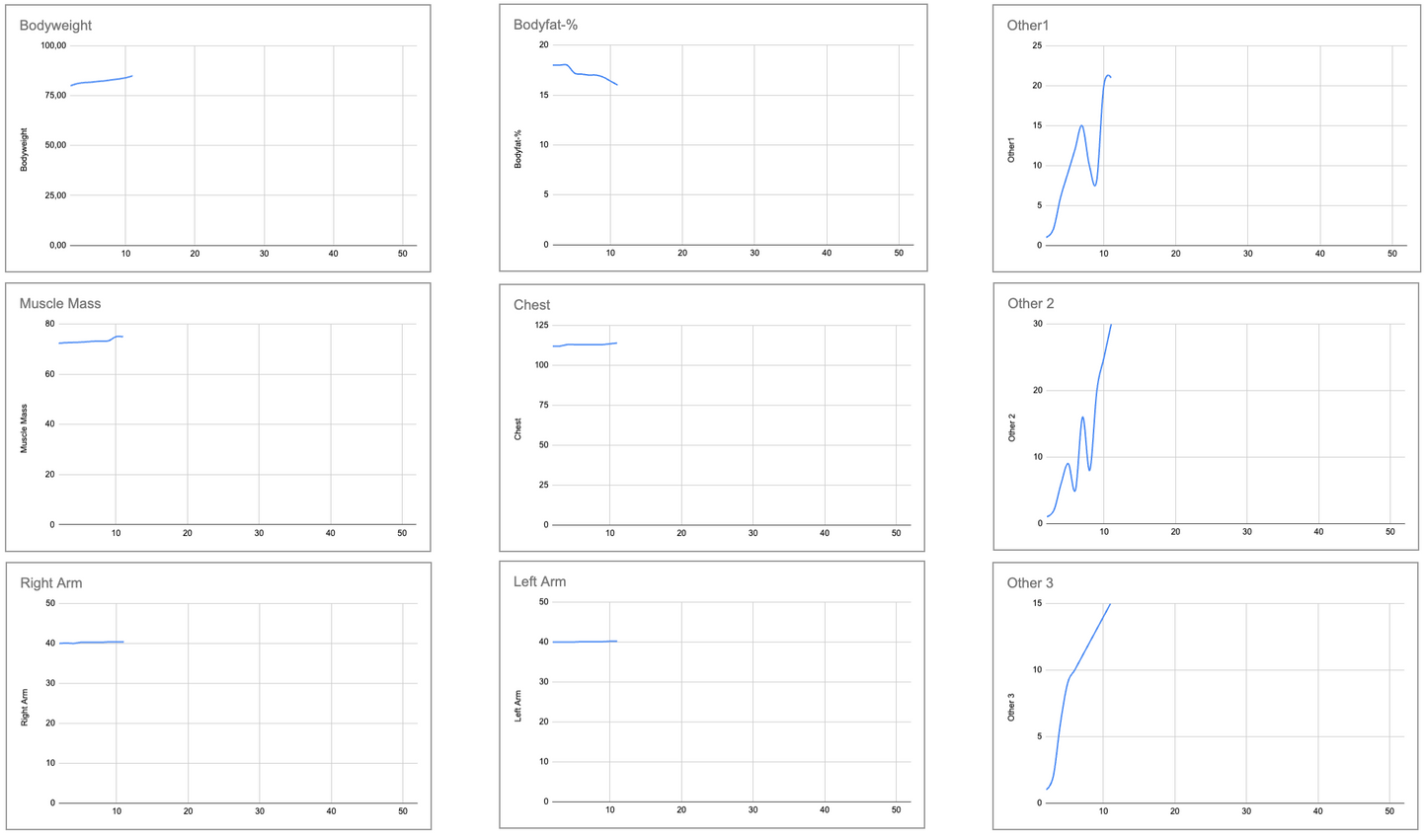 Fitnesstracker in Google Sheets